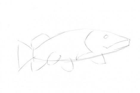 Легкий рисунок щуки