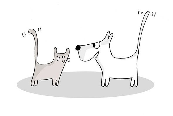 Раскраски для детей Котопес