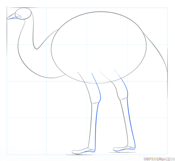 Поэтапное рисование страуса