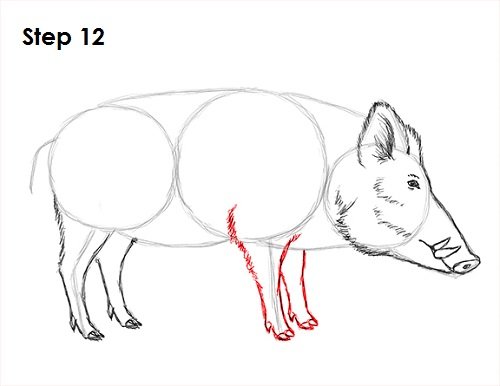 Кабан для рисования