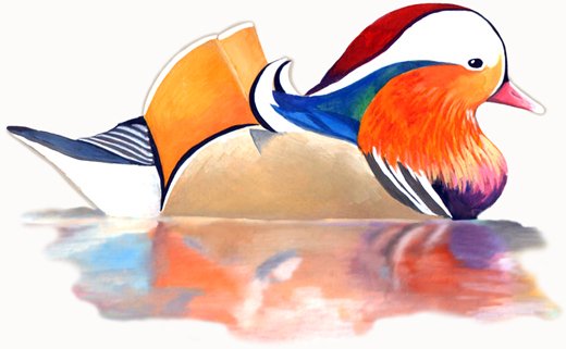 Рисование утки мандаринки