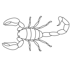 Скорпион для рисования простой