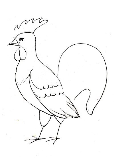 Поэтапное рисование петуха