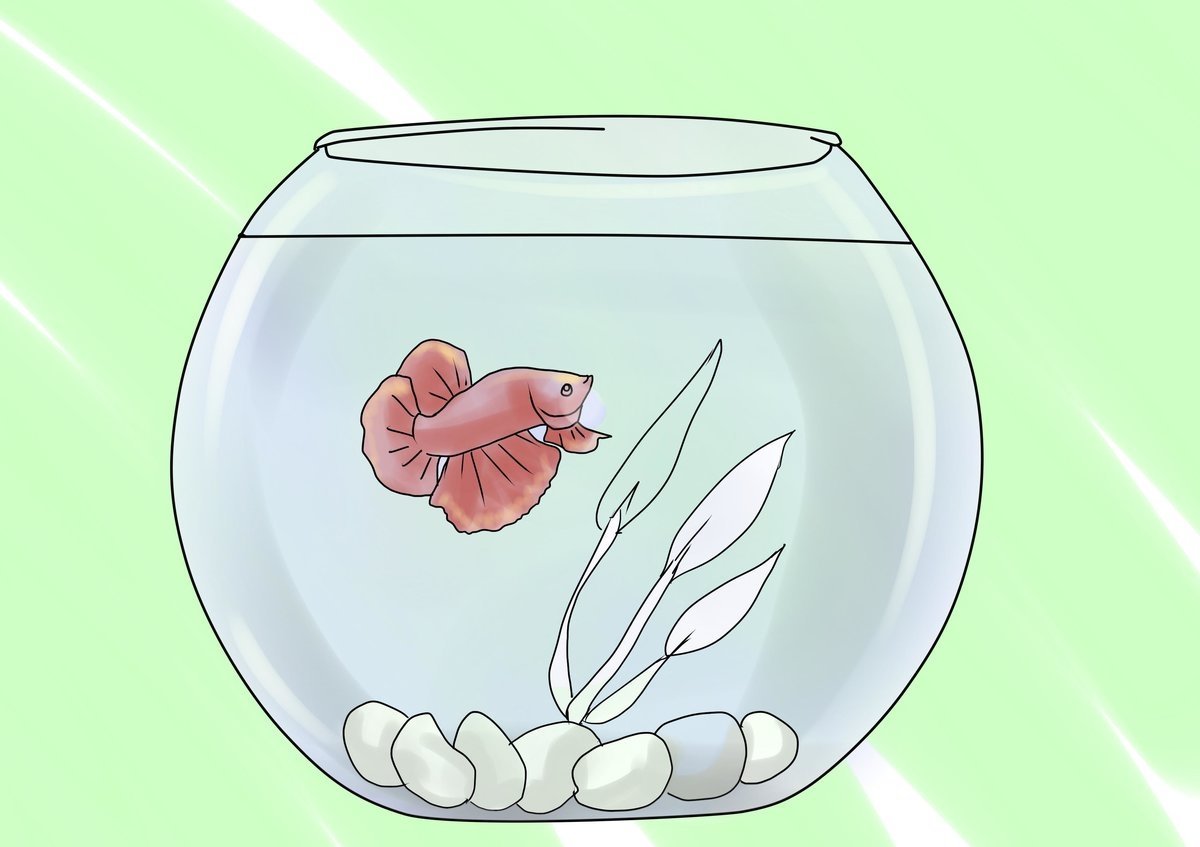 Рисование рыбки в аквариуме