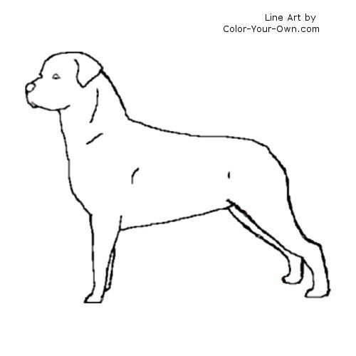 Ротвейлер вид сбоку зарисовка