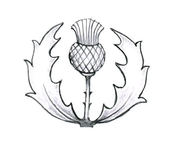 Чертополох трафарет