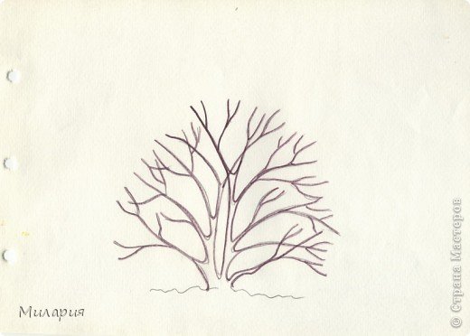 Поэтапное рисование кустарника