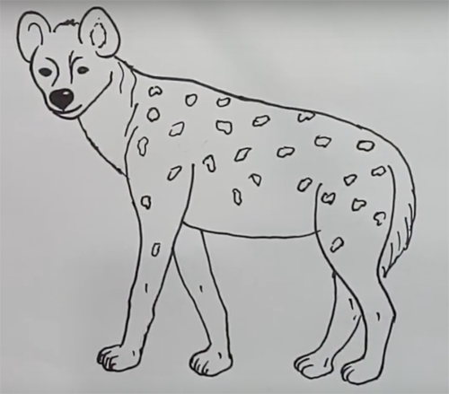 Гиена для срисовки