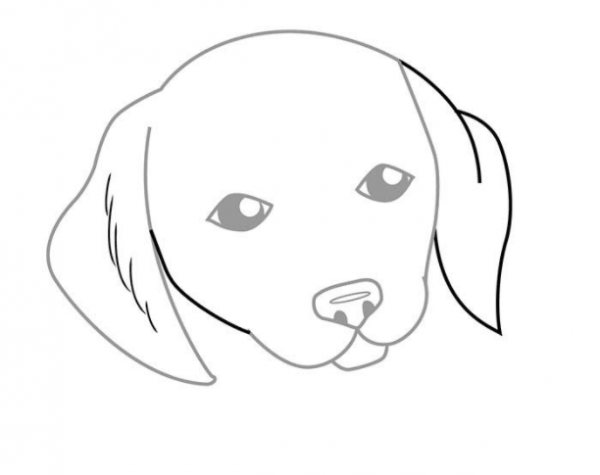 Картинки для срисовки собачки