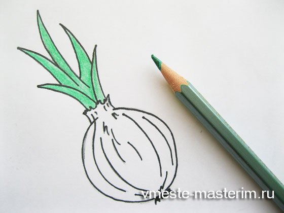 Лук карандашом