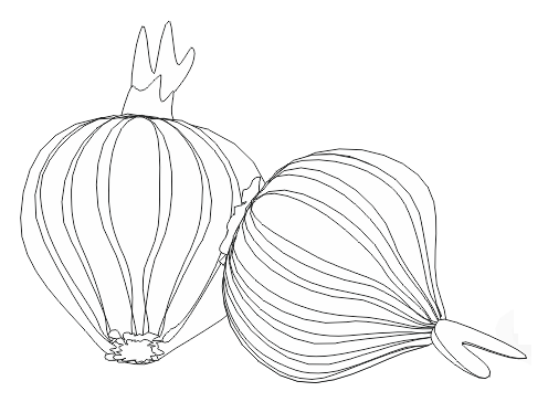 Лук раскраска для детей