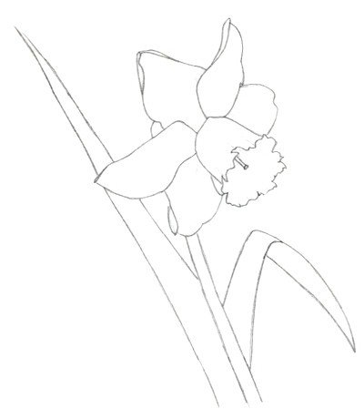 Этапы рисования цветка