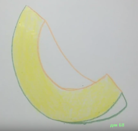 Дыня для срисовки