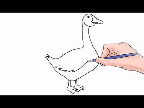 Рисование гуся