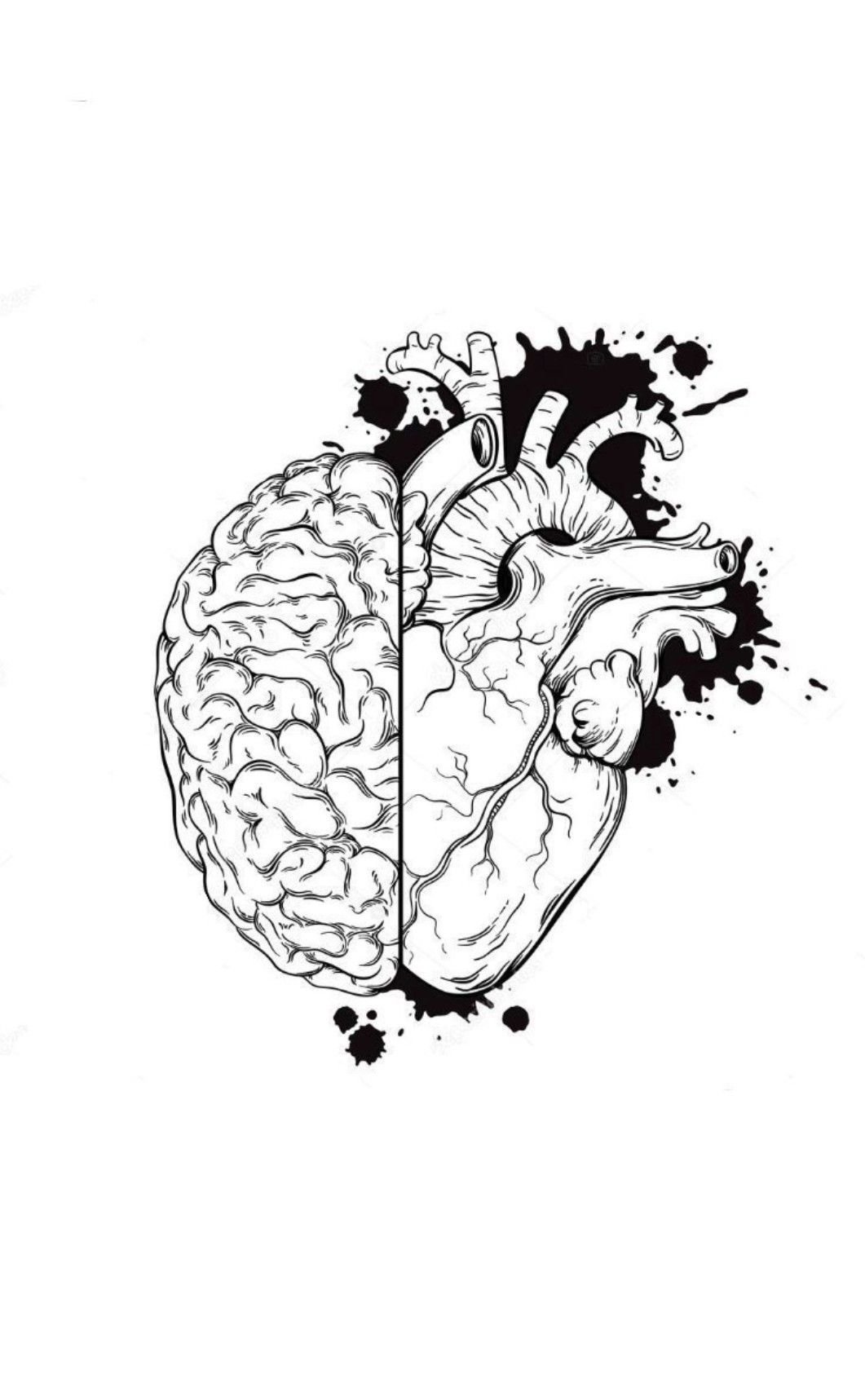 Мозг сердце эскиз