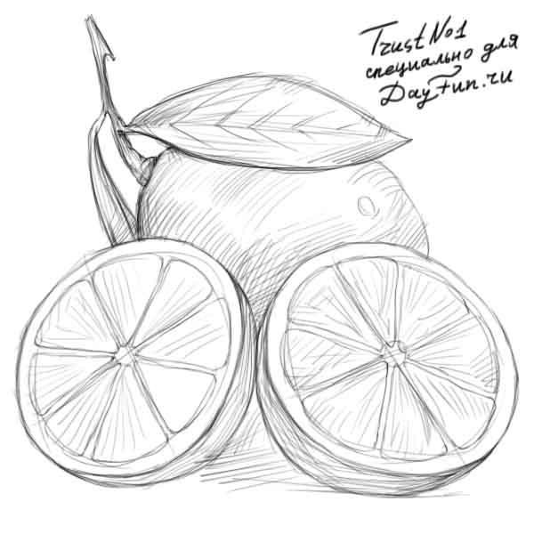 Лимон маркерами