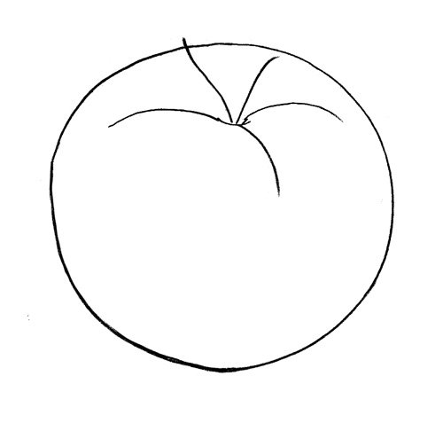 Помидор шаблон для рисования