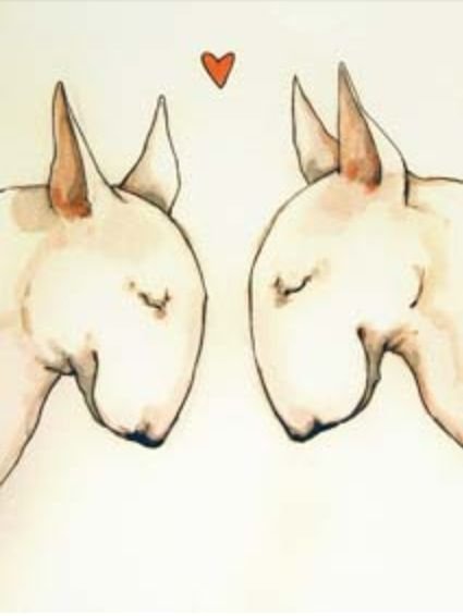 Бультерьер для срисовки