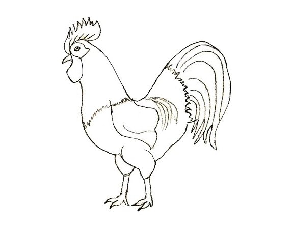 Петушок. Раскраска