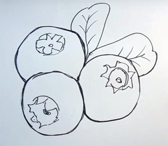 Черника карандашом