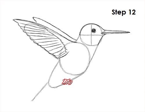 Колибри цветными карандашами