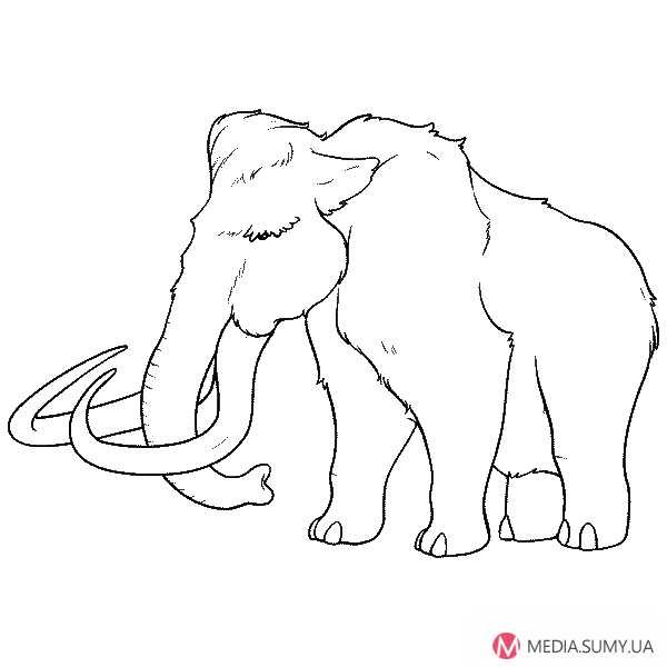 Мамонт карандашом