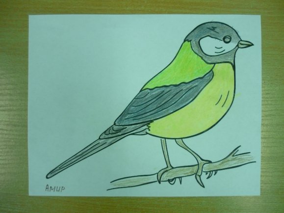 Рисование синички