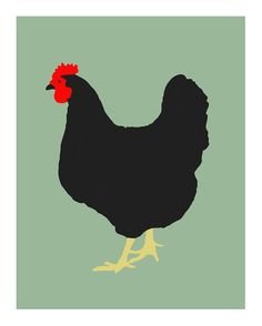 Черная курица нарисовать