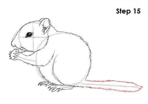 Нарисовать бурундука