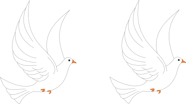 Рисунок голубя легкий (56 фото)
