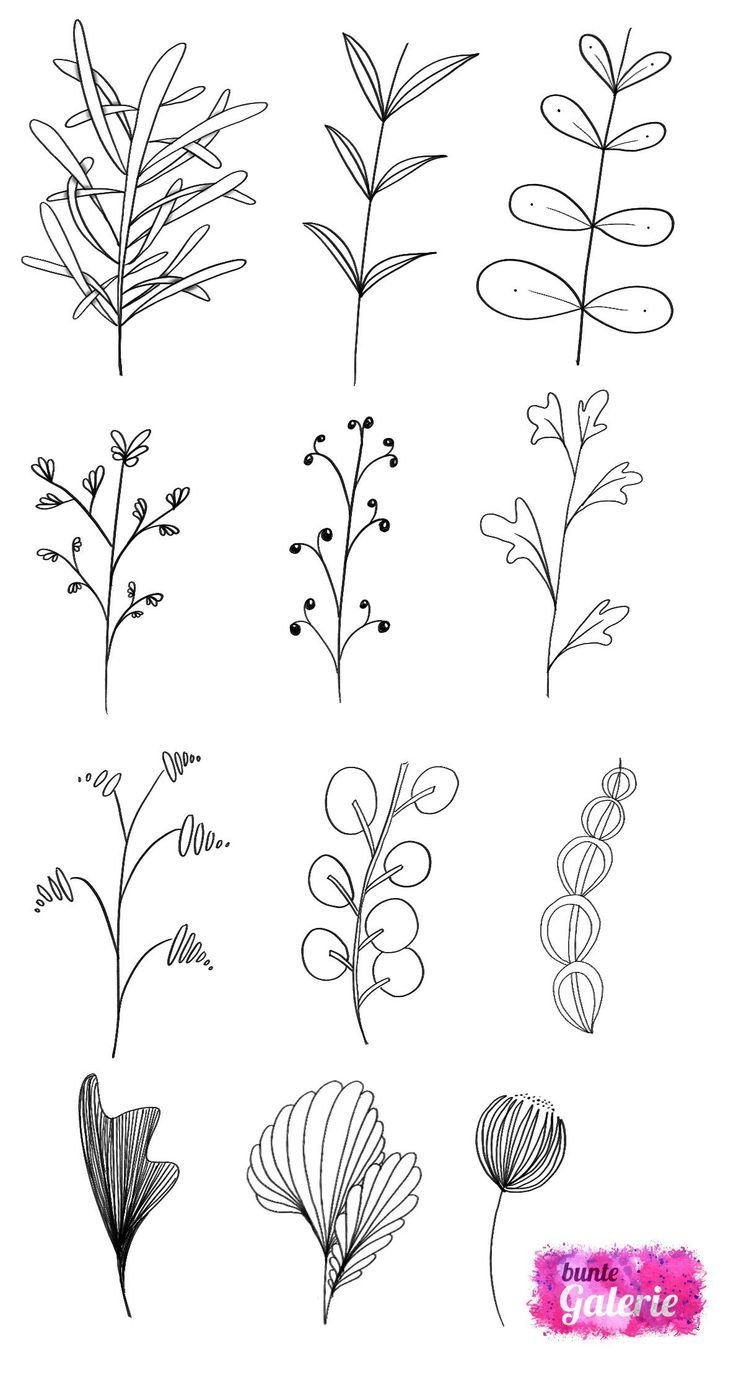 Простые растения для рисования