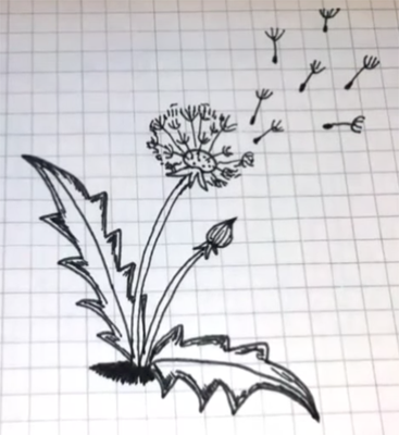 Одуванчик фломастером