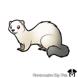 Хорек нарисовать легко