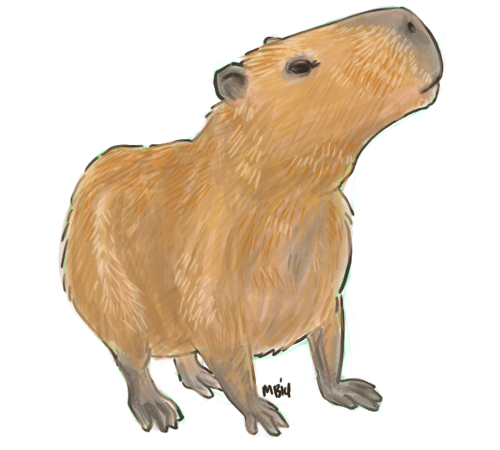 Стикеры капибара телеграмм