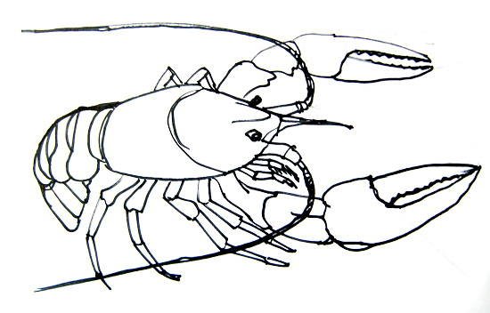 Ракообразные карандашом