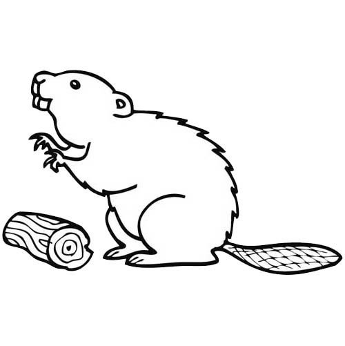 Бобер карандашом для срисовки