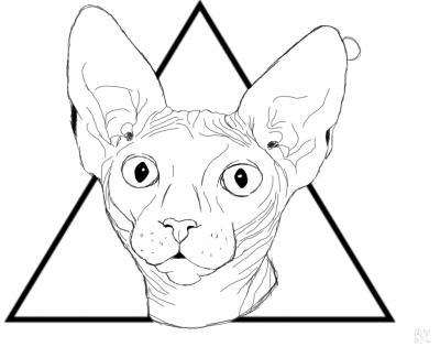 Раскраска кот сфинкс