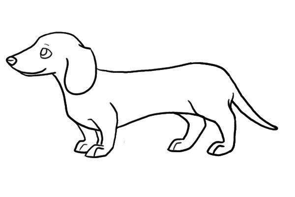 Картинки такс нарисованных без цвета