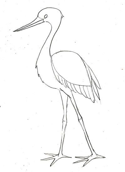 Аист рисунок для детей карандашом
