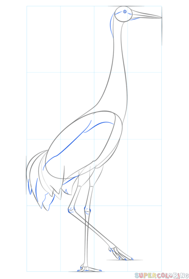 Пошаговое рисование журавля
