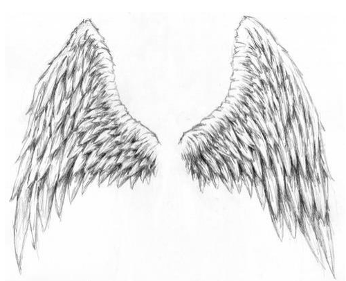 Крылья Графика