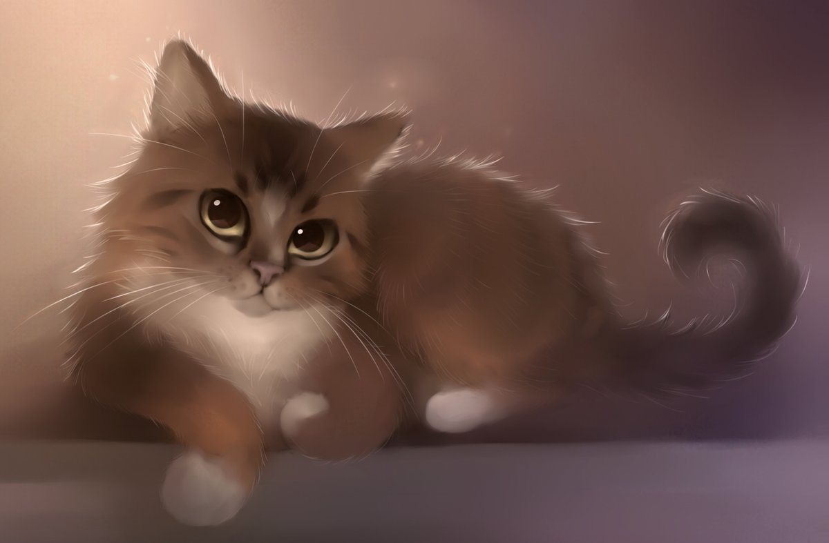 картинки красиво нарисованных котиков