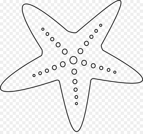 Морская звезда раскраска для детей