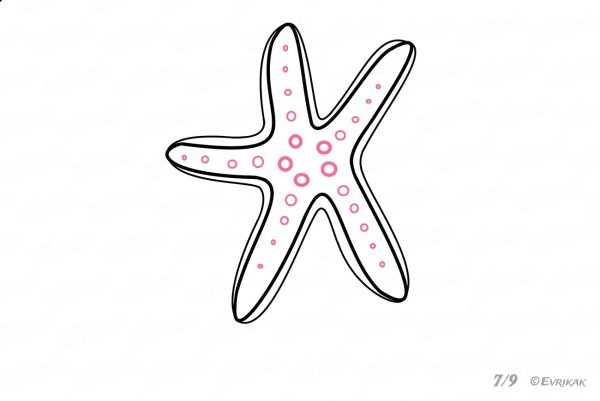 Морская звезда срисовать