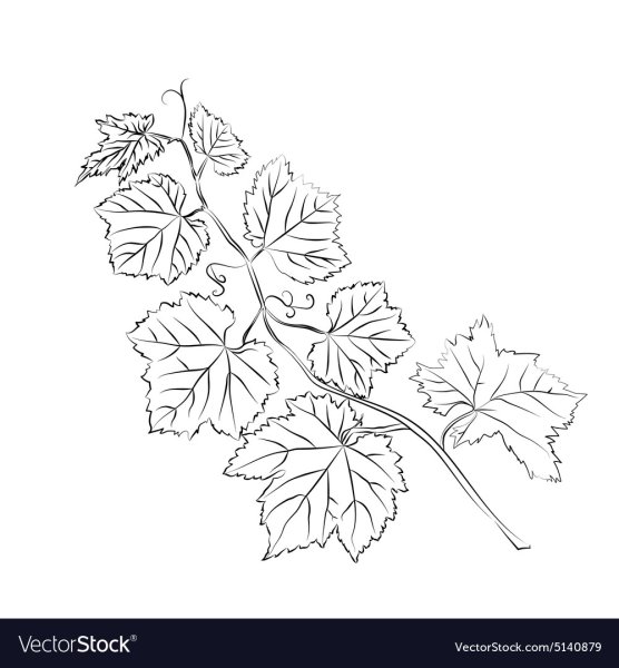 Виноградный лист трафарет