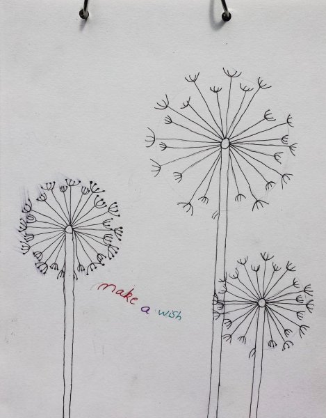 Схематичное изображение одуванчика