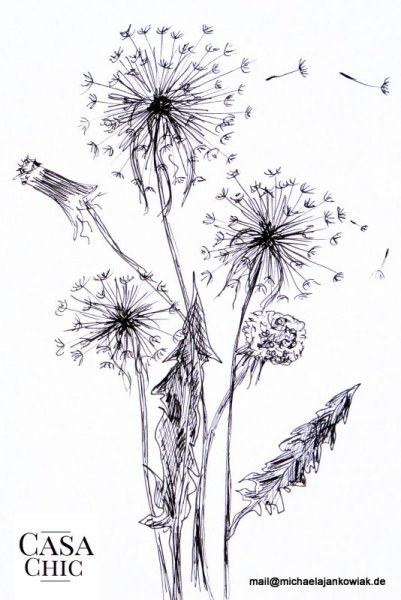 Одуванчик карандашом