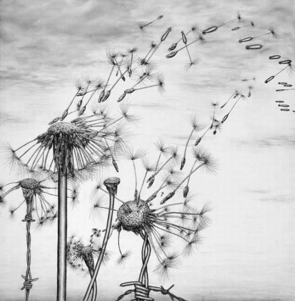 Одуванчик техника рисования карандашами