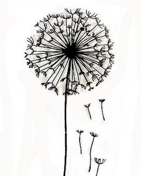 Одуванчик карандашом