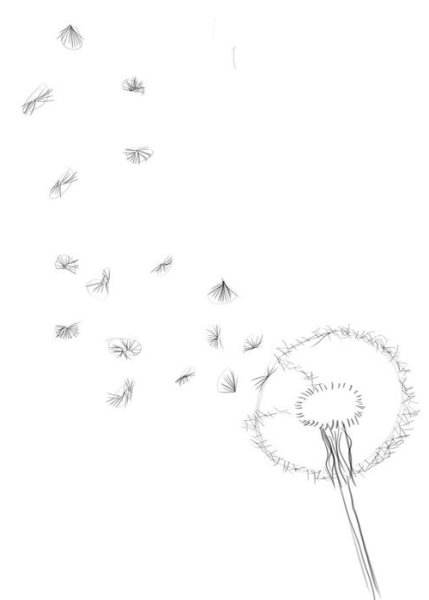 Нарисовать одуванчик